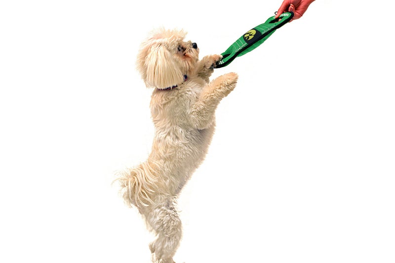 Pets First NCAA Football Field Dog Toy with Squeaker. - Iowa Hawkeyes - for Tug, Toss, and Fetch. - Tough& Durable PET Toy - Image 5